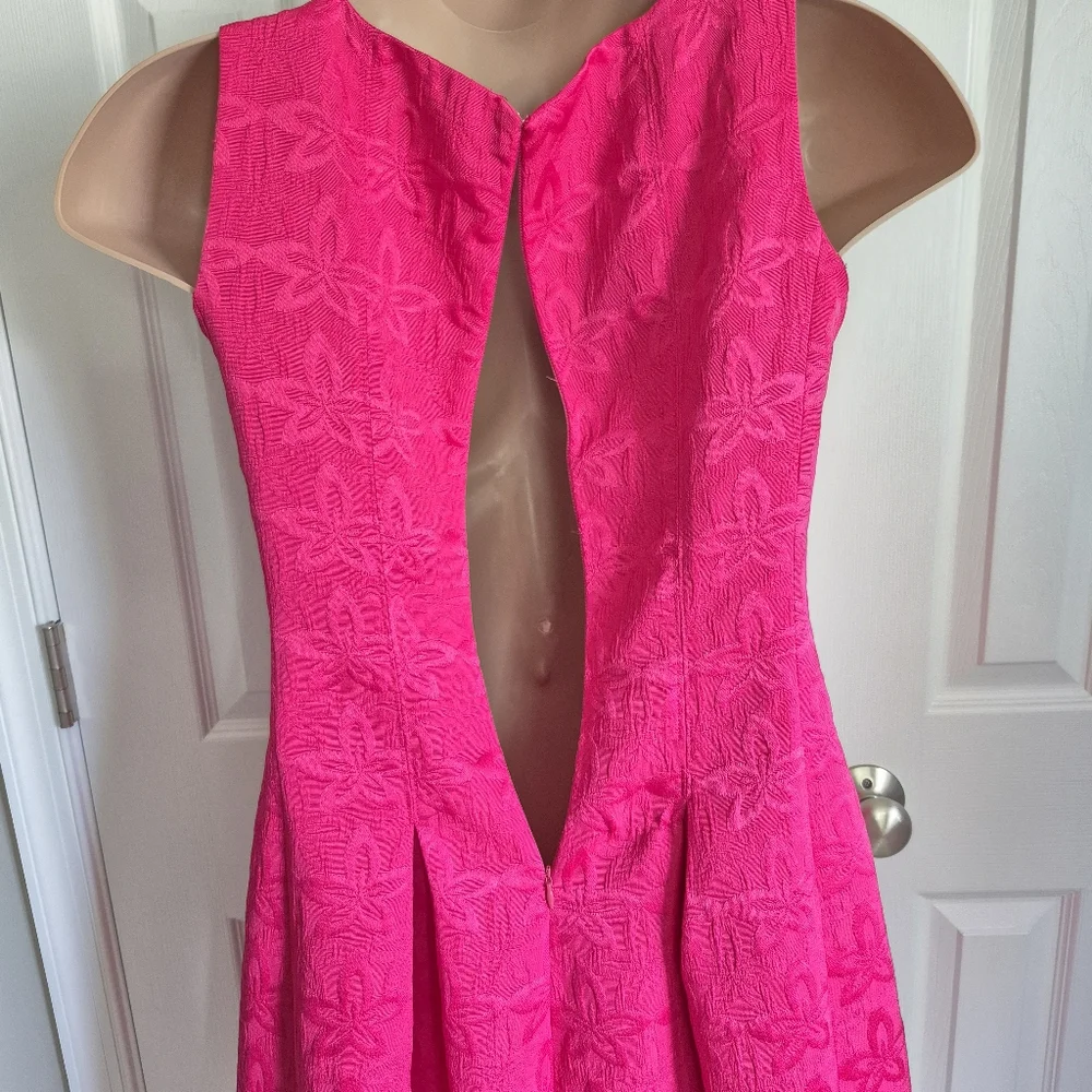 Jones Wear Dress Hot Pink Floral Texture A Line Sleeveless Pleated Dress 12 - Picture 7 of 10